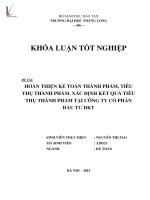 Luận văn hoàn thiện kế toán thành phẩm, tiêu thụ thành phẩm, xác định kết quả tiêu thụ thành phẩm tại công ty cổ phần đầu tư DKT 