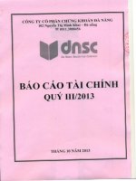 Báo cáo tài chính quý 3 năm 2013 - Công ty Cổ phần Chứng khoán Đà Nẵng