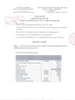 Nghị quyết Hội đồng Quản trị ngày 27-12-2010 - Công ty Cổ phần Đầu tư và Thương mại DIC