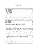 Bản cáo bạch - Công ty cổ phần Ô tô Giải Phóng