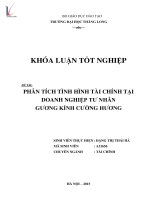 Luận văn phân tích tình hình tài chính tại doanh nghiệp tư nhân gương kính cường hương 