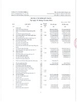 Báo cáo tài chính công ty mẹ quý  năm PhanTichBaoCao - Công ty Cổ phần Bibica