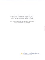 Báo cáo tài chính hợp nhất quý 2 năm 2009 (đã soát xét) - Công ty Cổ phần Dịch vụ và Xây dựng Địa ốc Đất Xanh