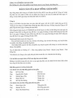 Báo cáo tài chính năm 2007 (đã kiểm toán) - Công ty Cổ phần Cáp Sài Gòn