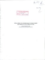 Báo cáo tài chính hợp nhất quý 2 năm 2010 - Tổng Công ty Cổ phần Đầu tư Phát triển Xây dựng