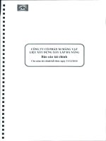 Báo cáo tài chính năm 2010 (đã kiểm toán) - Công ty Cổ phần VICEM Vật liệu Xây dựng Đà Nẵng