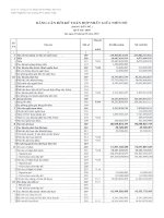 Báo cáo tài chính hợp nhất quý 3 năm 2010 - Công ty Cổ phần Sản xuất Thương mại May Sài Gòn