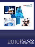 Báo cáo thường niên năm 2010 - Công ty cổ phần Chứng khoán Ngân hàng Công thương Việt Nam