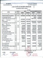 Báo cáo KQKD quý 4 năm 2010 - Công ty Cổ phần Kỹ nghệ Đô Thành