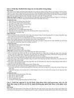 chỉ định lâm sàng của các loại phim trong miệng 