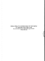Báo cáo tài chính công ty mẹ năm 2011 (đã kiểm toán) - Tổng Công ty Cổ phần Đầu tư Xây dựng và Thương mại Việt Nam