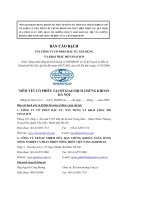 Bản cáo bạch - Công ty Cổ phần Đầu tư Xây dựng và Khai thác mỏ Vinavico