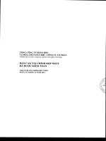 Báo cáo tài chính hợp nhất năm 2011 (đã kiểm toán) - Tổng Công ty Phân bón và Hóa chất Dầu khí-CTCP
