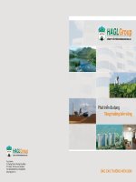 Báo cáo thường niên năm 2009 - Công ty Cổ phần Hoàng Anh Gia Lai