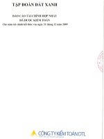 Báo cáo tài chính hợp nhất năm 2009 (đã kiểm toán) - Công ty Cổ phần Dịch vụ và Xây dựng Địa ốc Đất Xanh