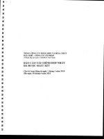 Báo cáo tài chính hợp nhất quý 2 năm 2010 (đã soát xét) - Tổng Công ty Phân bón và Hóa chất Dầu khí-CTCP