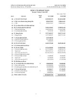 Báo cáo tài chính năm 2009 (đã kiểm toán) - Công ty cổ phần VICEM Bao bì Bút Sơn