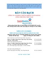 Bản cáo bạch - Công ty cổ phần Chứng khoán Ngân hàng Công thương Việt Nam