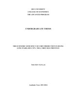 THE ECONOMIC EFFICIENCY OF CORN PRODUCTION IN HUONG LONG WARD, HUE CITY, THUA THIEN HUE PROVINCE