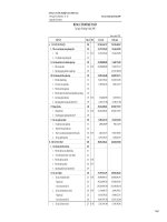 Báo cáo tài chính quý 3 năm 2009 - Công ty Cổ phần Công nghiệp Cao su Miền Nam