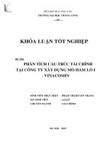 Luận văn phân tích cấu trúc tài chính công ty xây dựng mỏ hầm lò i vinacomin 