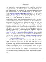 Hoạch định chính sách giải quyết triệt để nạn ùn tắc giao thông đường bộ tại khu vực nội thành của thành phố hải phòng 