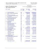 Báo cáo tài chính quý 1 năm 2010 - Công ty Cổ phần Đầu tư và Phát triển Giáo dục Đà Nẵng