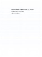 Báo cáo tài chính hợp nhất quý 2 năm 2015 (đã soát xét) - Công ty Cổ phần Xuất nhập khẩu Y tế Domesco