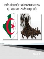 Thuyết trình môn marketing quốc tế phân tích môi trường marketing tại algeria ngành hạt tiêu