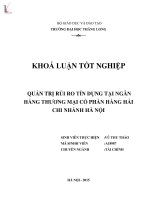 Luận văn quản trị rủi ro tín dụng tại ngân hàng thương mại cổ phần hàng hải chi nhánh hà nội 