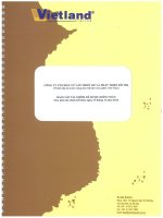 Báo cáo tài chính năm 2012 (đã kiểm toán) -  Công ty Cổ phần Tư vấn thiết kế và Phát triển đô thị