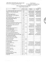 Báo cáo tài chính hợp nhất quý 1 năm 2010 - Tổng Công ty Phân bón và Hóa chất Dầu khí-CTCP