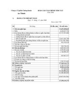 Báo cáo tài chính năm 2008 - Công ty Cổ phần Chứng khoán An Thành