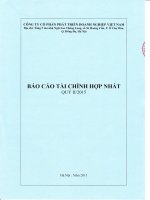 Báo cáo tài chính hợp nhất quý 2 năm 2015 - Công ty Cổ phần Đầu tư và Phát triển Doanh nghiệp Việt Nam