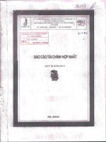 Báo cáo tài chính hợp nhất quý 3 năm 2010 - Công ty Cổ phần Ngoại thương và Phát triển Đầu tư Thành phố Hồ Chí Minh