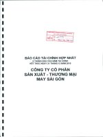 Báo cáo tài chính hợp nhất quý 2 năm 2010 (đã soát xét) - Công ty Cổ phần Sản xuất Thương mại May Sài Gòn