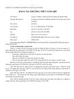Báo cáo thường niên năm 2007 - Công ty Cổ phần VICEM Vật liệu Xây dựng Đà Nẵng