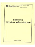 Báo cáo thường niên năm 2010 - Công ty Cổ phần Đầu tư Phát triển Xây dựng - Hội An