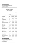 Báo cáo tài chính hợp nhất quý 1 năm 2010 - Công ty Cổ phần Bóng đèn Điện Quang