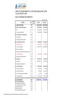 Báo cáo tài chính hợp nhất quý 4 năm 2009 - Công ty Cổ phần Dịch vụ và Xây dựng Địa ốc Đất Xanh