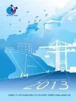 Báo cáo thường niên năm 2013 - Công ty cổ phần Đầu tư và Phát triển Cảng Đình Vũ