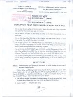 Nghị quyết đại hội cổ đông ngày 9-12-2009 - Công ty Cổ phần Công nghiệp Cao su Miền Nam