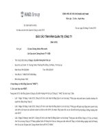 Báo cáo tình hình quản trị công ty - Công ty Cổ phần Hoàng Anh Gia Lai