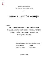 Luận văn Phát triển cho vay tiêu dùng tại ngân hàng nông nghiệp và phát triển nông thôn Việt Nam chi nhánh huyện cẩm khê