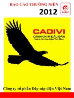 Báo cáo thường niên năm 2012 - Công ty cổ phần Dây Cáp Điện Việt Nam