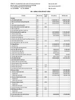 Báo cáo tài chính quý 3 năm 2011 - Công ty cổ phần Đầu tư-Sản xuất và Thương mại Việt Nam