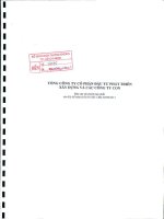 Báo cáo tài chính hợp nhất quý 3 năm 2011 - Tổng Công ty Cổ phần Đầu tư Phát triển Xây dựng