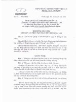 Nghị quyết Hội đồng Quản trị ngày 20-10-2010 - Công ty Cổ phần Tập đoàn Đức Long Gia Lai