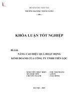 Luận văn nâng cao hiệu quả hoạt động kinh doanh tại công ty TNHH tiến lộc 
