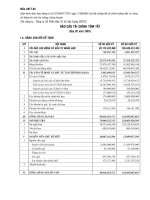 Báo cáo tài chính quý 2 năm 2007 - Công ty Cổ phần Xây dựng và Phát triển Cơ sở Hạ tầng